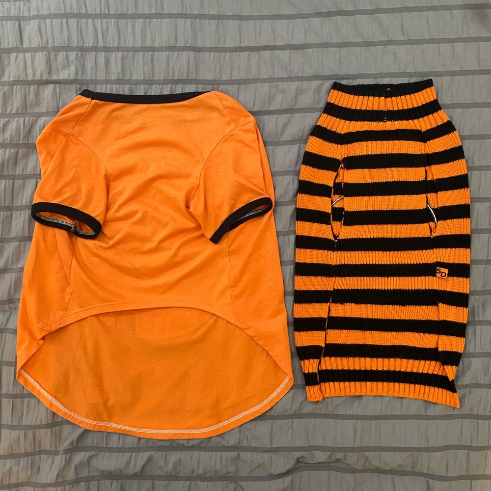 💥 👀 CLEARANCE… 🎃 Halloween Dog Shirts sz Large - Picture 2 of 7